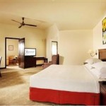 Senator Suite Equatorial Hotel